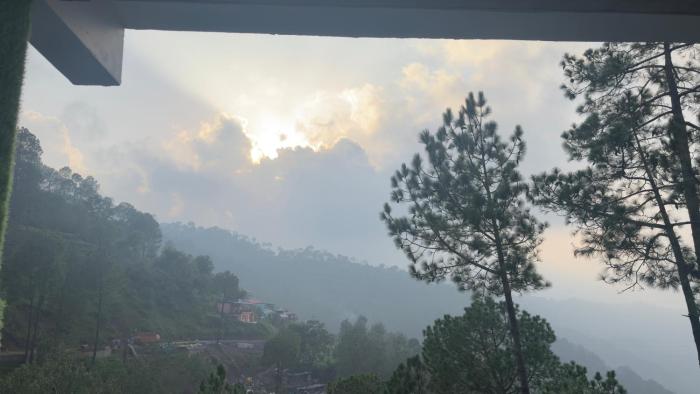 SunsViVibes
