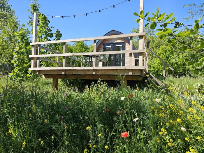 Tiny House De Skierroek
