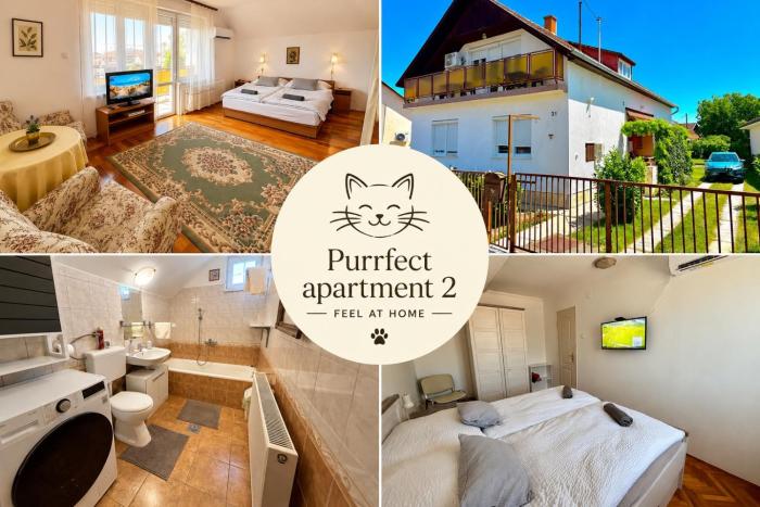 Purrfect Apartment 2