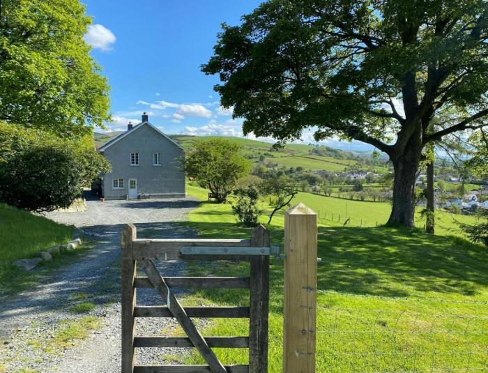 Bryn y Gog Tregaron
