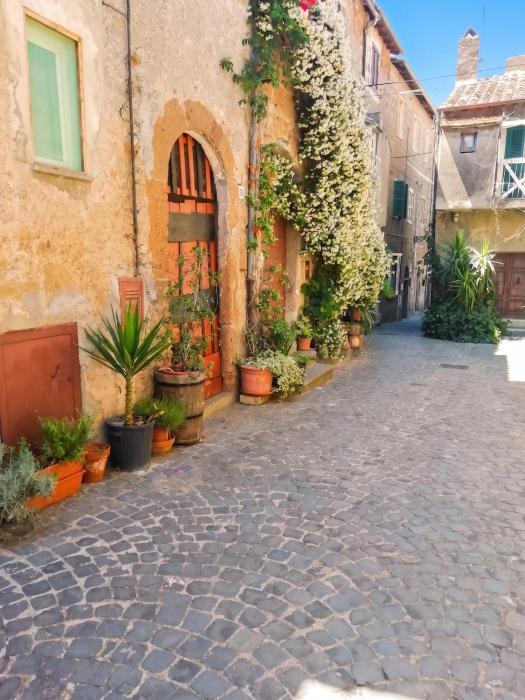 Charming House in Barbarano Romano with Terrace and Fireplace