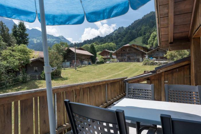 Alpine Chalet Apt near Interlaken Balcony&Parking