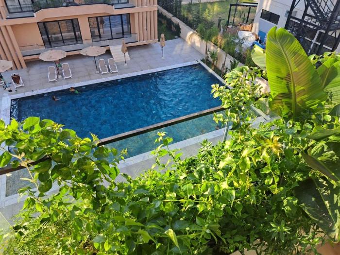 Palm Escape Apartment