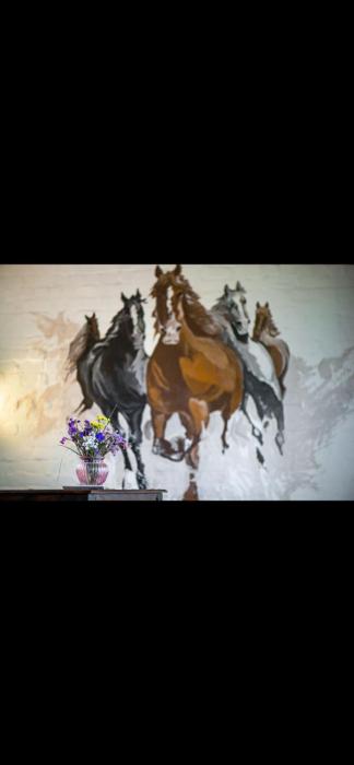 Horses