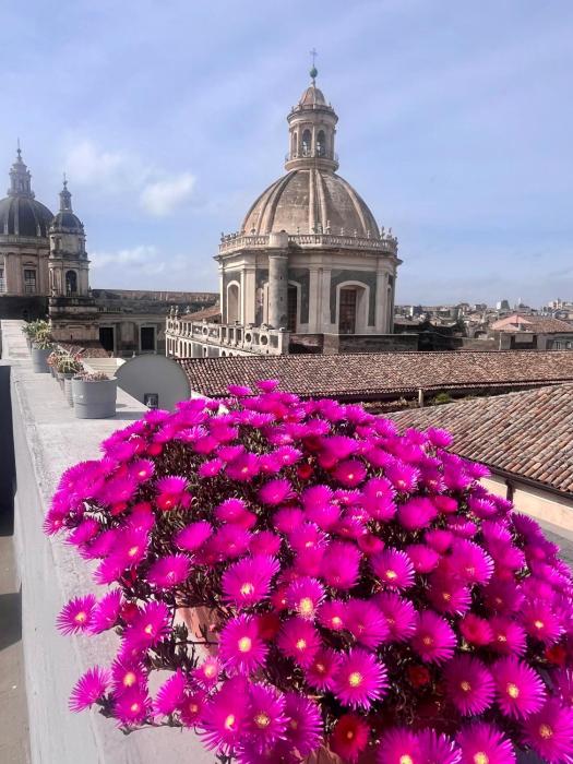 Terrazza SantAgata Penthouse