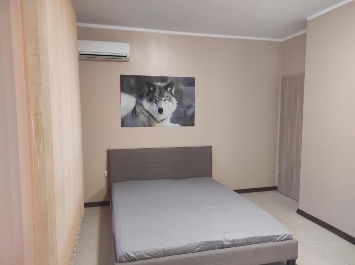 SteDi Luxurious Studio