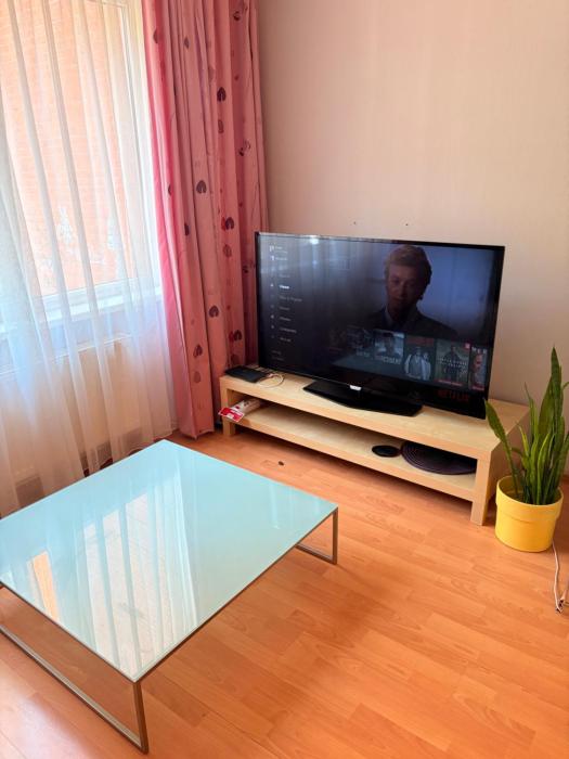 Dzirciema apartment