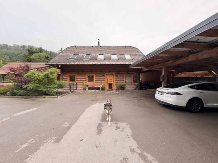 The Sawmill Loft Lake Cerknica