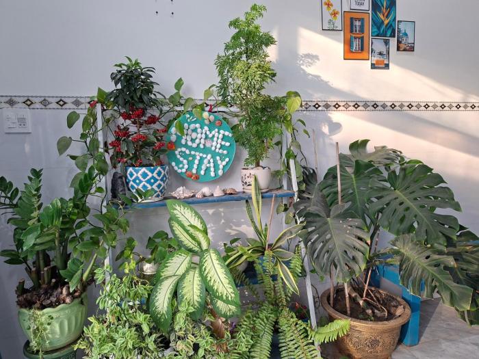 Ánh Dương Homestay - Coastal stop - Just 2 mins walking to Eo Gio