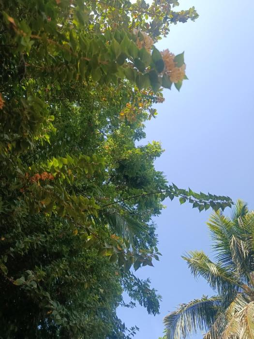 The nature house of Arugambay