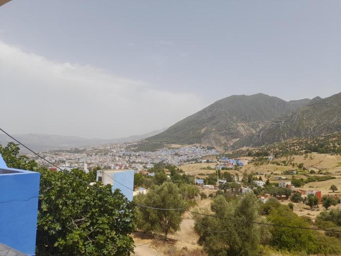 Dar Salima