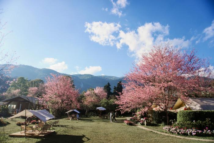 The Garden Inthanon
