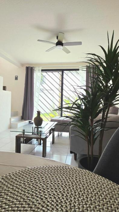 Abrazo de Sol Experience Morelos like youre at home