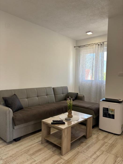 Lily Bloom Apartments