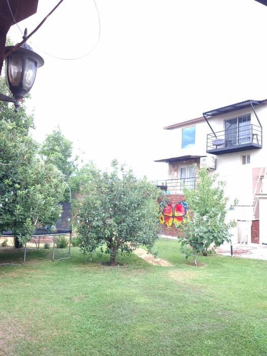 depa del Oso