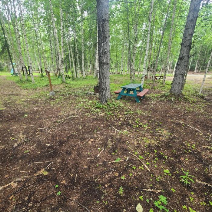 Houston Grass Station Campsite #40