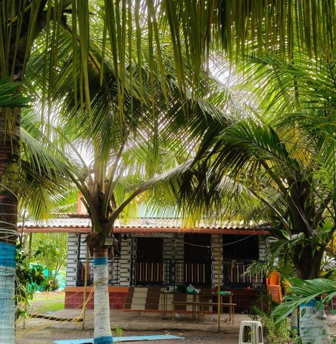 Kalpatru