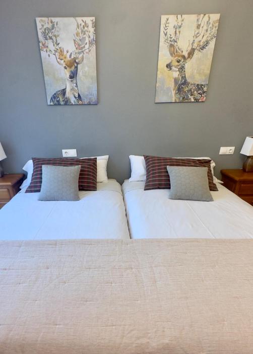 Apartamento El Tilo de Benás