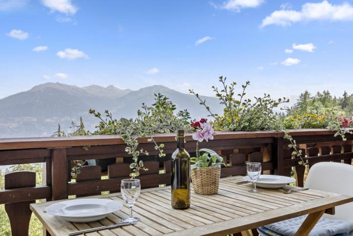 Charmant studio avec superbe vue et balcon