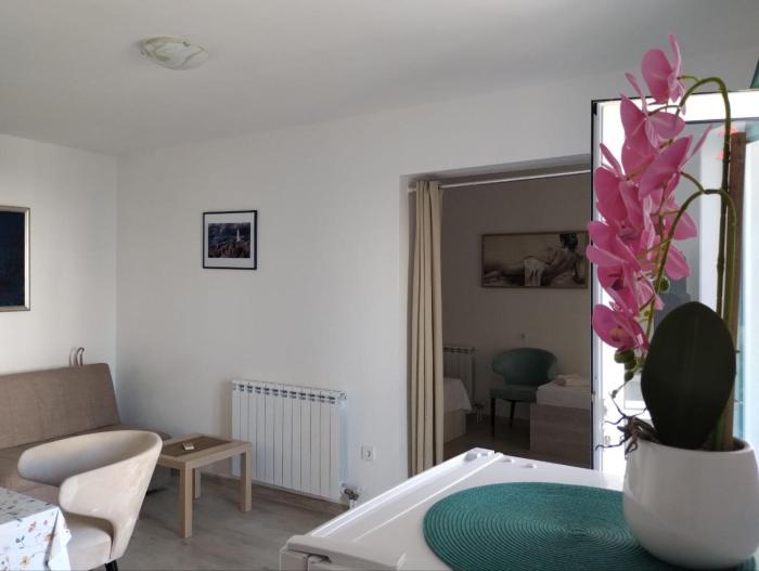 Ilic apartment