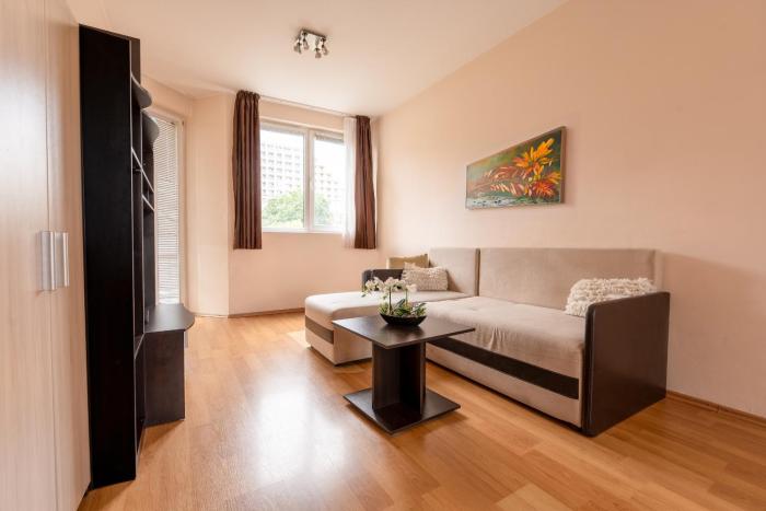 One-Bedroom Apartment in the City Center