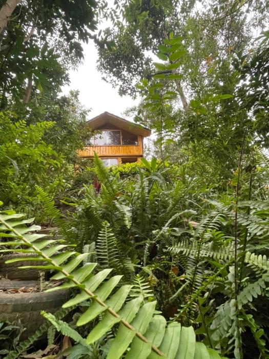 Mud and Wooden Cabin