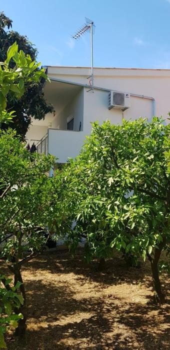 Apartments with parking space Sveti Filip i Jakov, Biograd - 27133