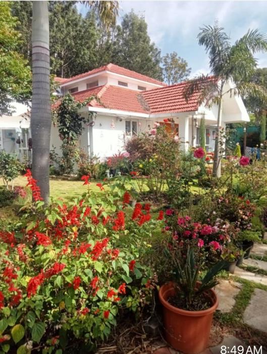 Candy Ville Resorts
