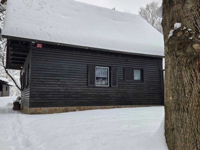 Haus im Wald