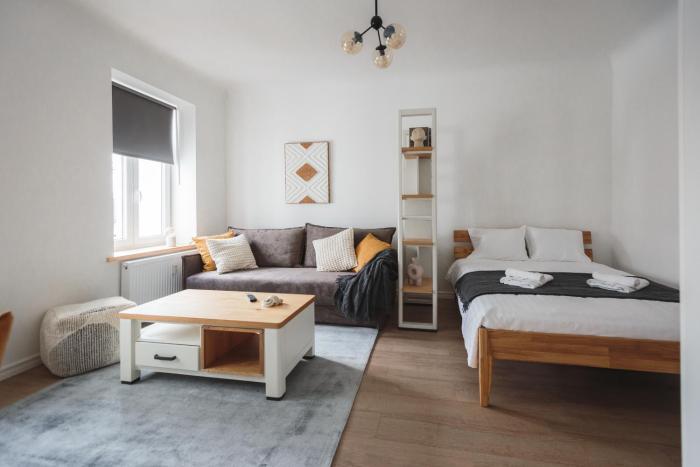Comfy & Spacious Riga Center Studio Apartment