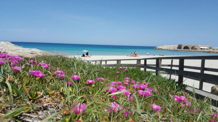 Casa Vacanza 6 posti San Foca