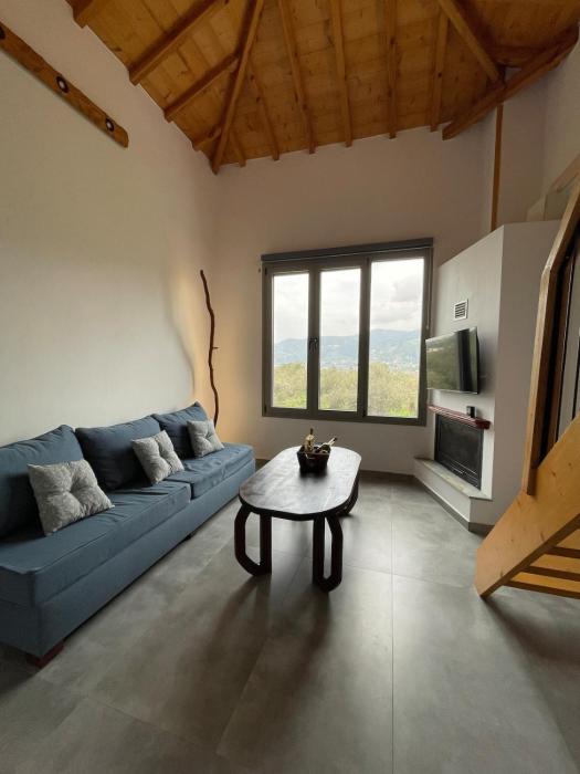 Faos residence I