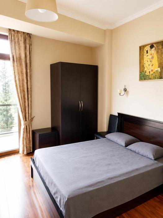 Penthouse in Bakuriani