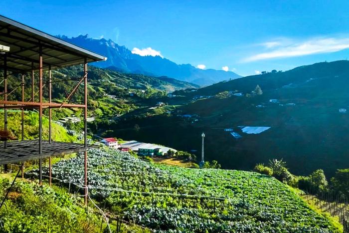 Triple A Kundasang