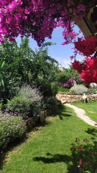 Villa with garden at Cala Sinzias Sardegna