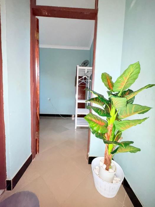 Maliasili 2 Apartments