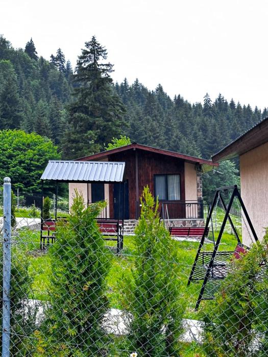 "Mtis broli 77"-Mzetamze-Borjomi