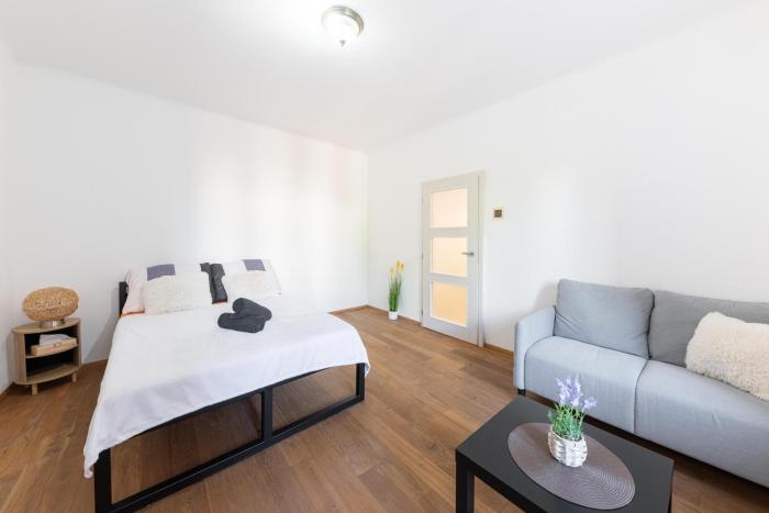 Budweis Comfort Apartment