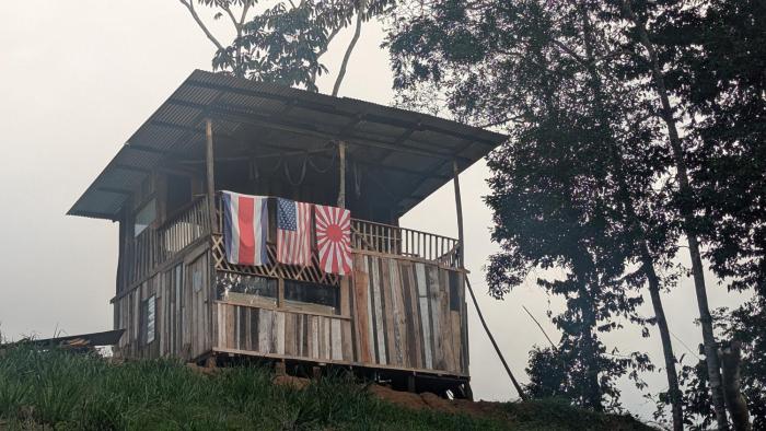 Cabinas Vida Paz