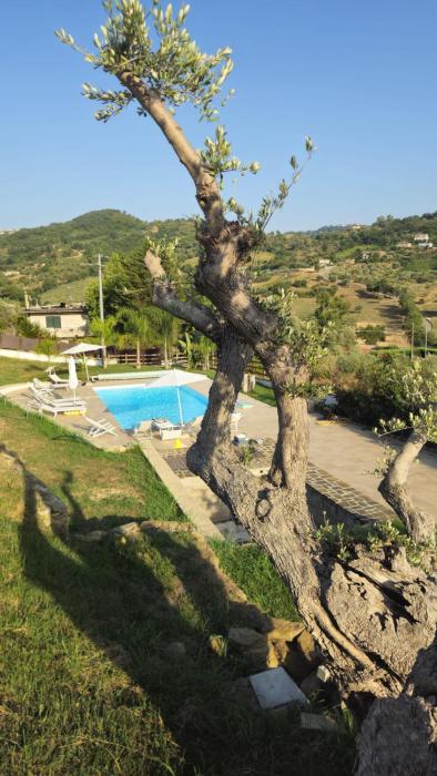 Villa Frascinelle 2