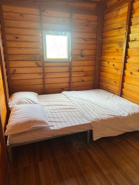 Orange Home