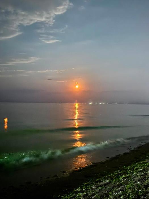 Summer Vibe Mamaia Summerland
