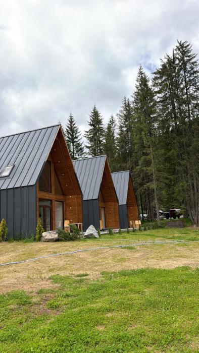 Chalets by Hotel Transalpin