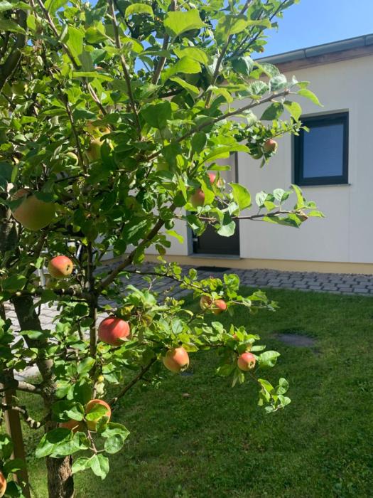 Oase im Südosten - wunderschöne Apartments für 4 Personen mit Terrasse & Stellplatz