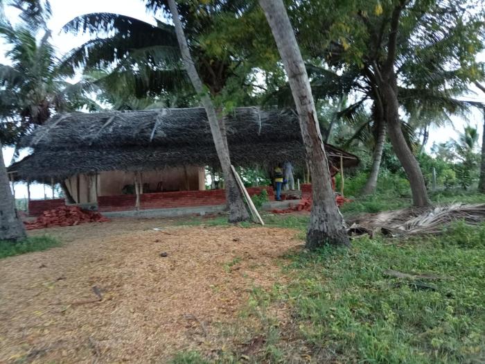 Paddy Villa