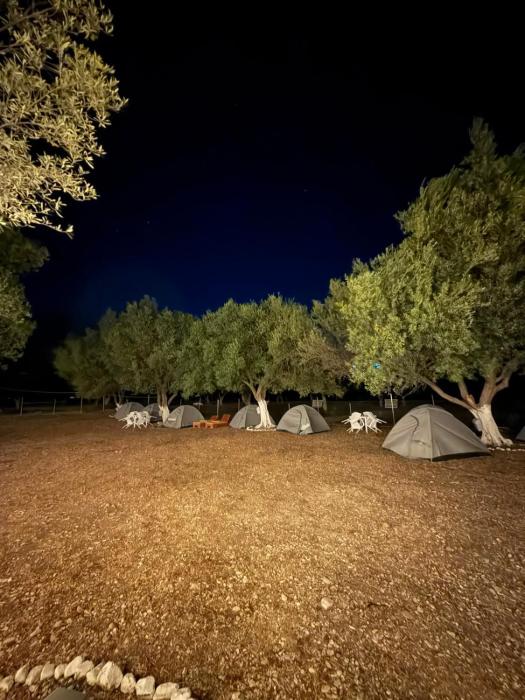 SeaGrove Camping