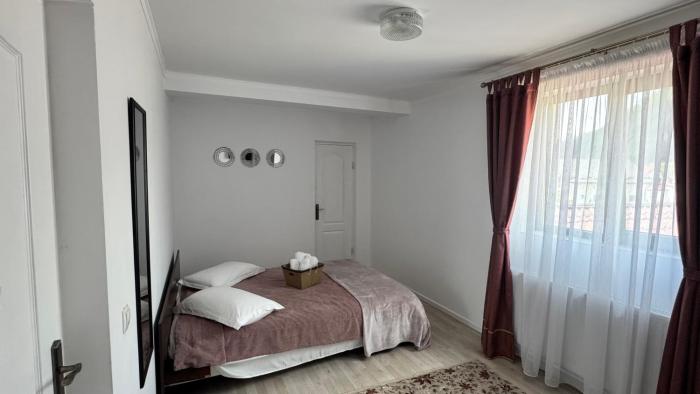 Casa Bucsoaia