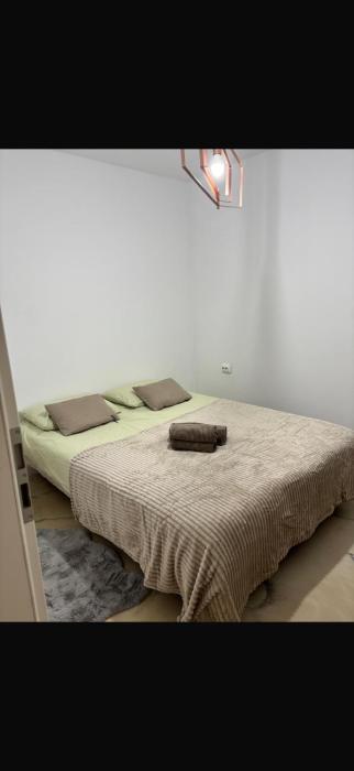 Amethyst Avram Iancu 460e