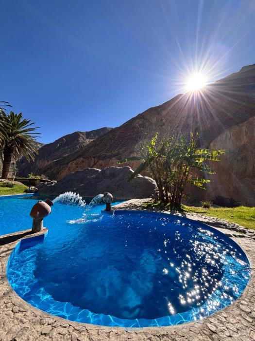 Paraiso Palmeras - Sangalle