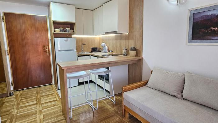 Central Heart Apartment